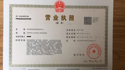 投資控股注冊(cè)條件,個(gè)人開(kāi)投資公司條件(投資的經(jīng)營(yíng)范圍都有哪些)